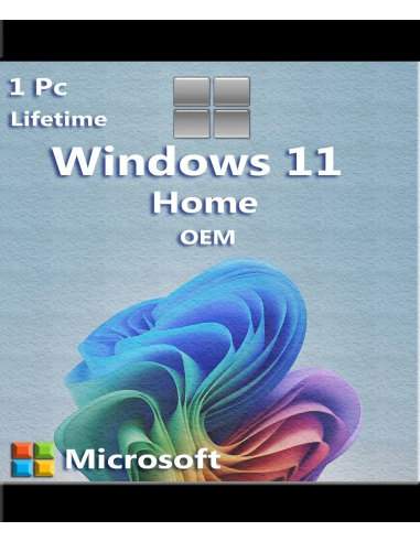 Microsoft Windows 11 Home OEM 1 Pc 1 Key Esd