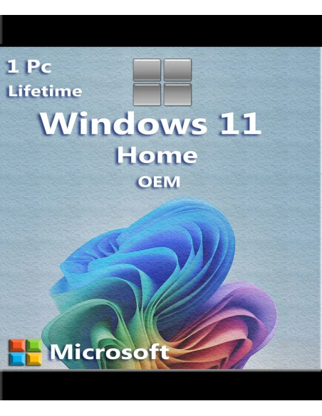 Microsoft Windows 11 Home Oem 1 Pc 1 Key Esd