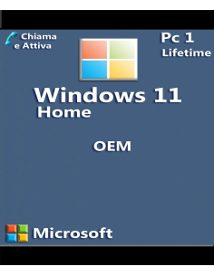 Microsoft Windows 11 Home OEM 1 PC 1 Key Call and Activate