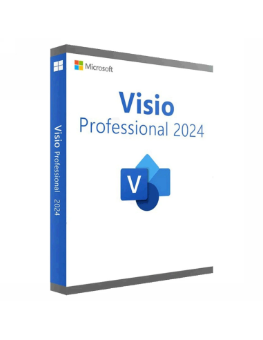 Microsoft Visio Pro 2024 LTSC 3 Pc 1 Lifetime Key