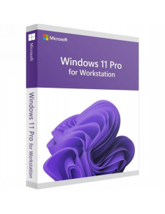 Microsoft Windows 11 Pro for Workstations 1 Pc 1 Key A Vita