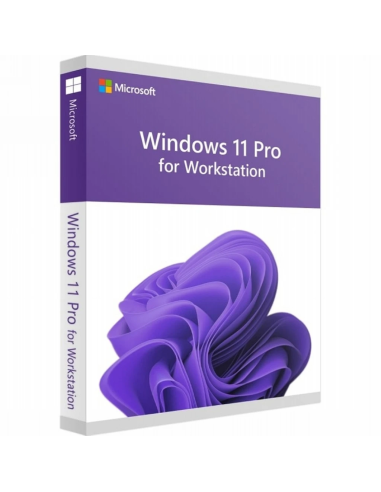 Microsoft Windows 11 Pro for Workstations 1 Pc 1 Key A Vita