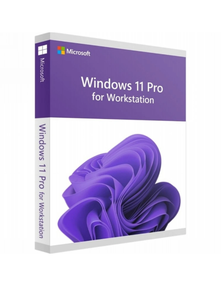 Microsoft Windows 11 Pro for Workstations 1 Pc 1 Key A Vita