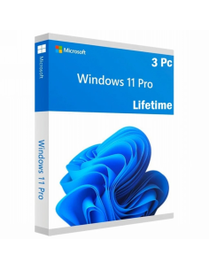 Microsoft Windows 11 Pro Oem Ltsc 3 Pc 1 Key A Vita